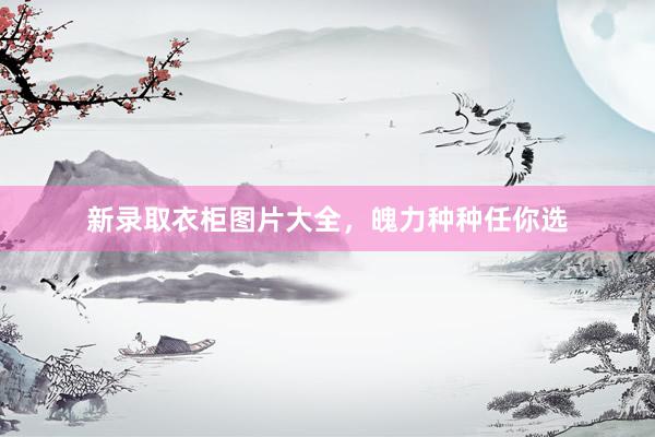 新录取衣柜图片大全，魄力种种任你选