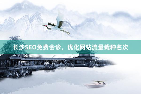 长沙SEO免费会诊，优化网站流量栽种名次