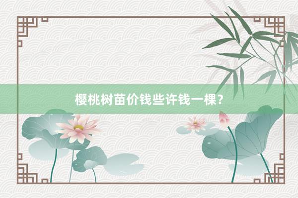 樱桃树苗价钱些许钱一棵？